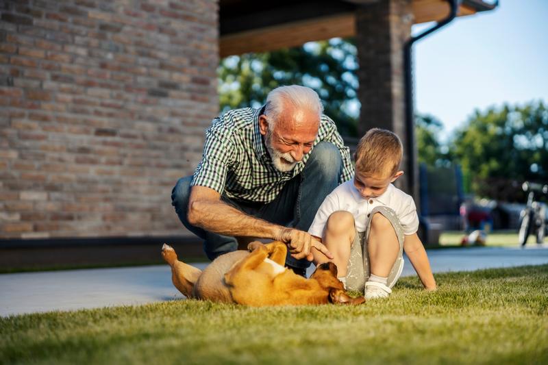 Smiling granddad and grandchild crouching in backyard and playing with dog.
